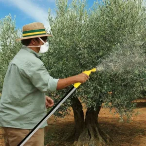 Optimiza la Salud de tus Olivos: Guía para Elegir y Aplicar Abono Foliar Eficazmente