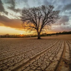 Agricultura Itinerante: Ventajas y Desafíos de este Antiguo Método de Cultivo