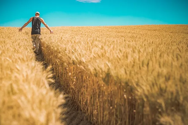 Agricultura Mesiánica: Un Enfoque Espiritual y Sostenible del Cultivo de la Tierra