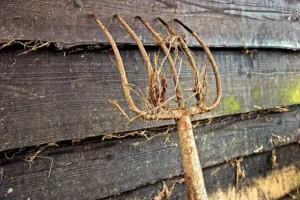 Aperos Agrícolas Esenciales: Herramientas para Optimizar tu Labor en el Campo