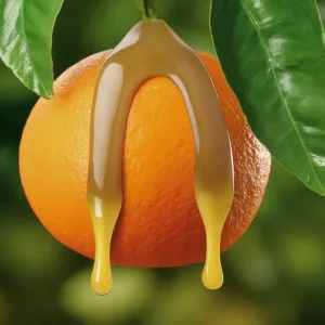 Combatiendo la Gomosis del Naranjo: Estrategias Efectivas para Proteger tu Huerto Cítrico