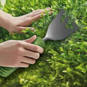 Combate Eficazmente la Lapa: Estrategias para Eliminar esta Mala Hierba de tu Jardín