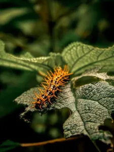 Combate Eficazmente la Oruga del Tomate: Estrategias y Soluciones Orgánicas