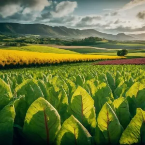 Agricultura Orgánica: Principios, Beneficios y el Futuro de la Alimentación Sostenible