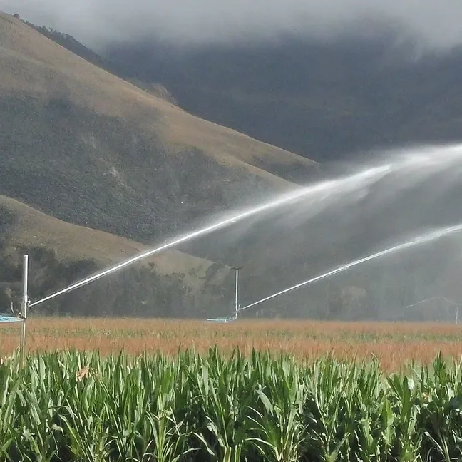 Innovaciones en Riegos Tecnificados: Maximizando la Eficiencia del Agua en la Agricultura