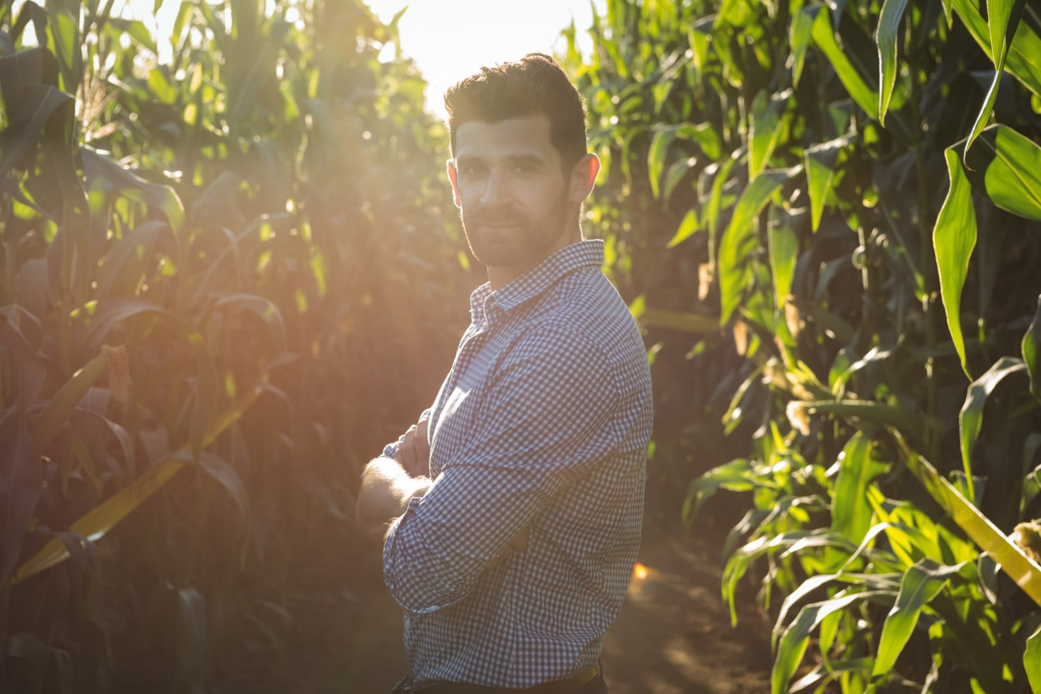 Herramienta para Consultores Agrónomos: Optimiza tu Servicio con Informes y Tareas Centralizadas