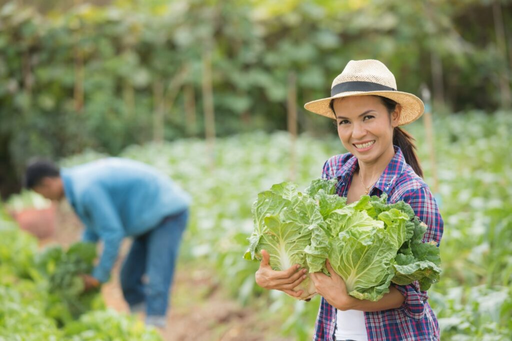 Firma digital para agricultores con RawData
