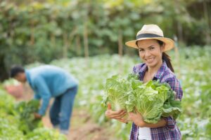 Software de Firma Digital para Agricultores: Contratos y Partes de Trabajo en un Clic