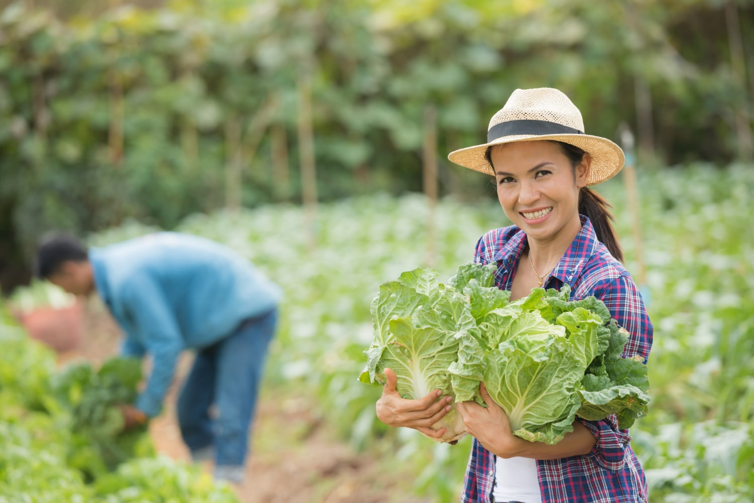 Software de Firma Digital para Agricultores: Contratos y Partes de Trabajo en un Clic
