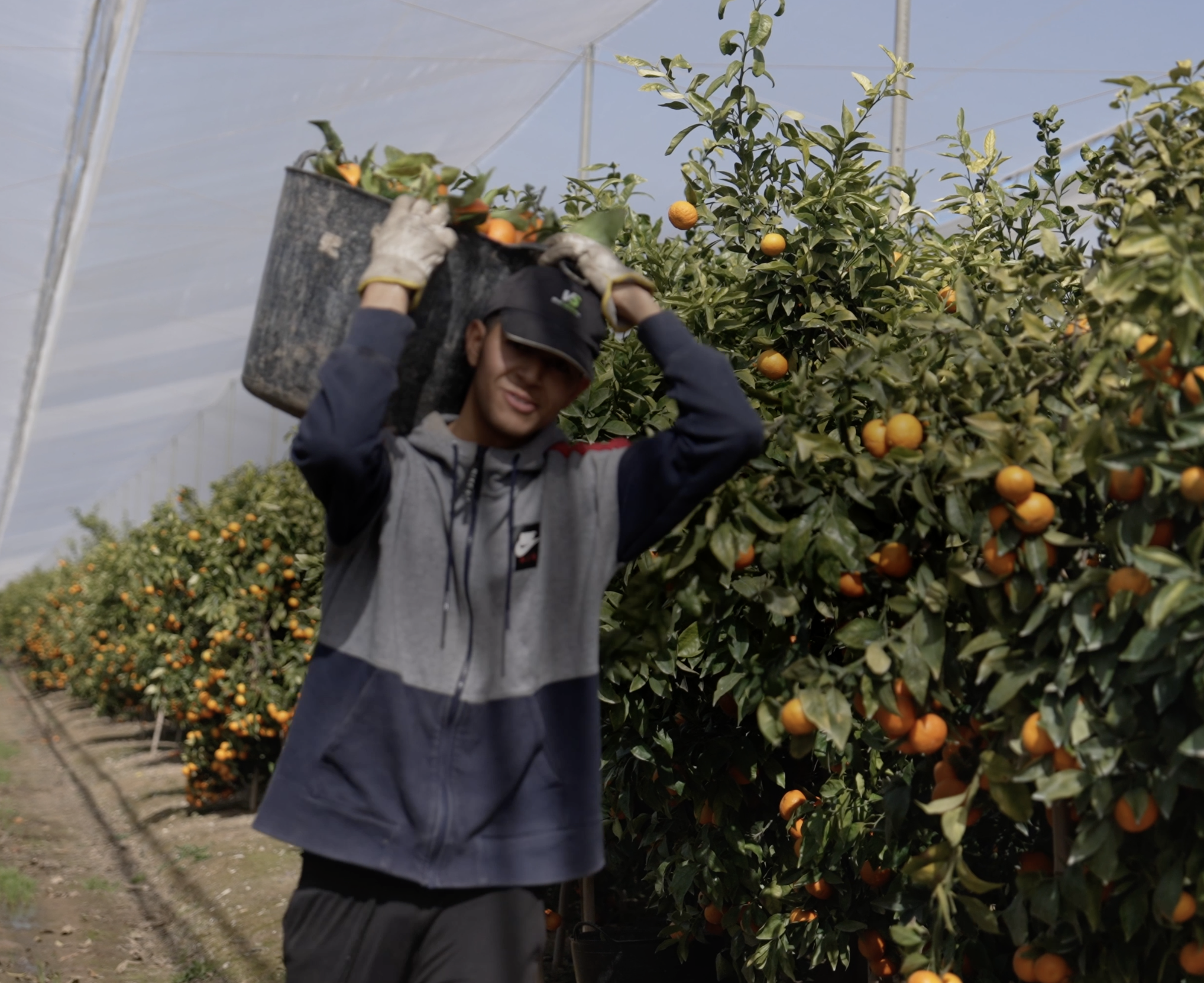 Software de Firma Digital para Agricultores: Contratos y Partes de Trabajo en un Clic
