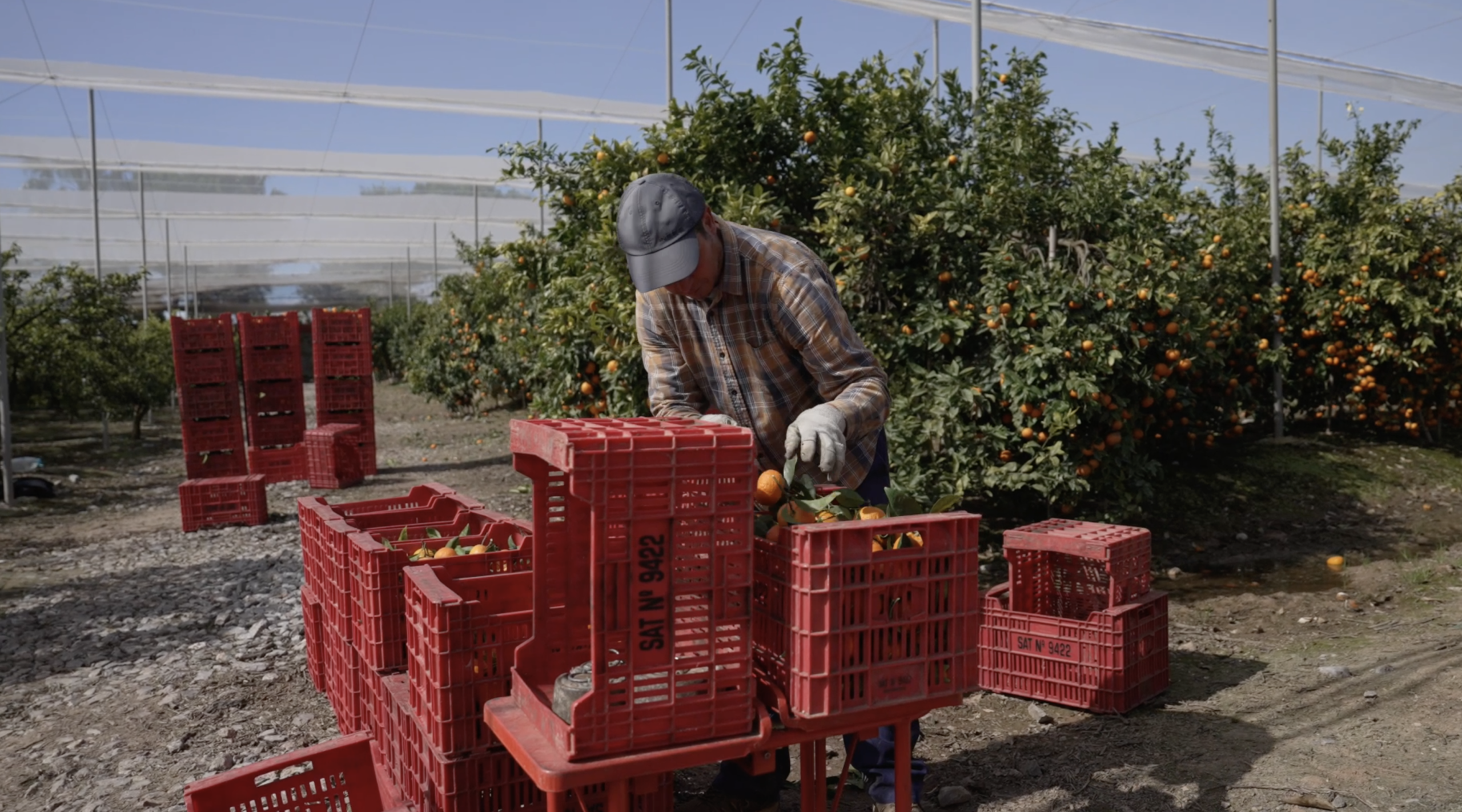 Firma Electrónica para la Gestión de Temporeros: Cumplimiento Normativo y Cero Papel