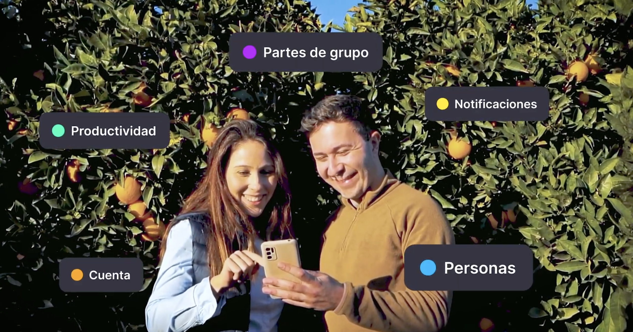 ERP Agrícola: La Plataforma para el Control Total de tu Negocio, del Campo a la Oficina