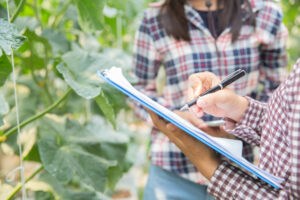 Software de Escandallos Agrícolas: Analiza tus Costes de Producción al Detalle
