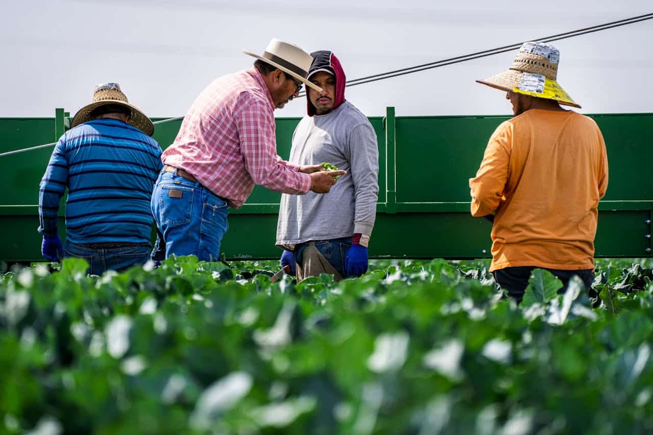 Control Horario en Agricultura: Cumple la Ley y Optimiza tus Cuadrillas