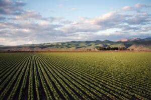 Imágenes satelitales para agricultura y NDVI 2026