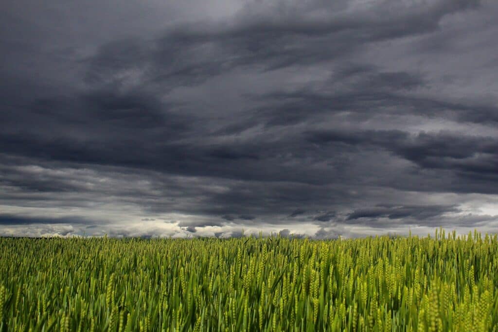 Estación meteorológica agrícola guía de compra