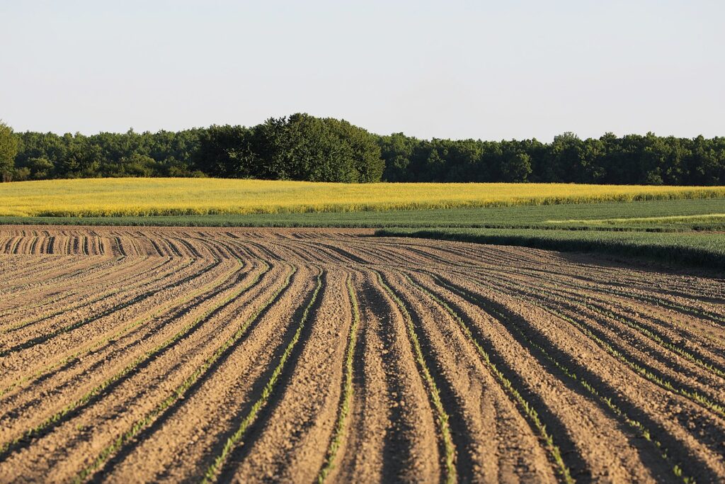 Teledetección agrícola 7 índices clave