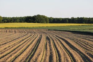 Teledetección agrícola 7 índices clave